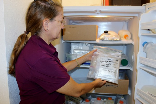 How Scientists Are Using Freezers To Save Texas Plants