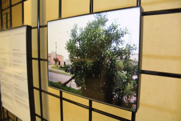 Southwest Houston Residents Use Photography To Express Public Health Concerns