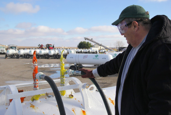 Feasting On… Fertilizer?