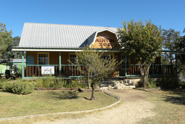 A Peek Into Austin’s Rescue Zoo