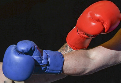 Tech Wars: Which Apps, Platforms and Operating Systems Are Best?