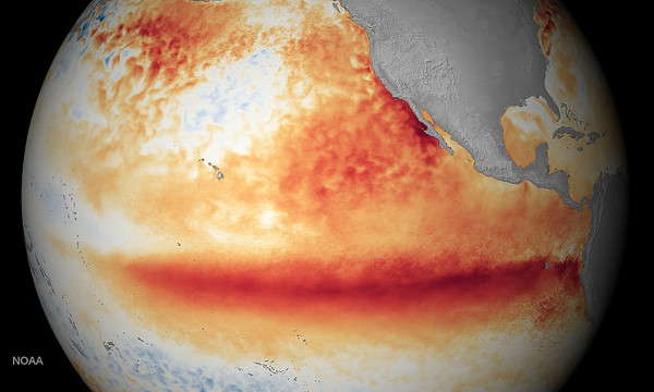 What Happened to the ‘Godzilla’ El Niño?