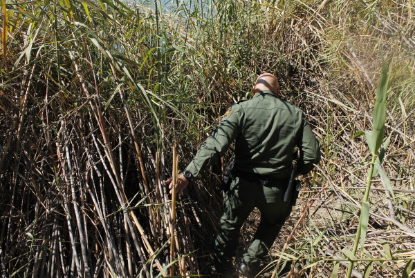 This Invasive Species is a Threat to National Security