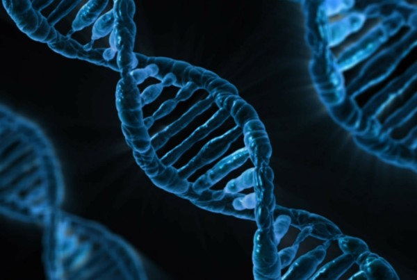 What’s Behind a Massive Review of DNA Evidence in Texas