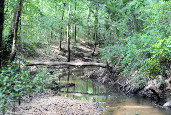 Typewriter Rodeo: Texas Creeks