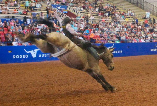 Bulls, Blood and Business: Disrupting the Dang Ol’ Rodeo