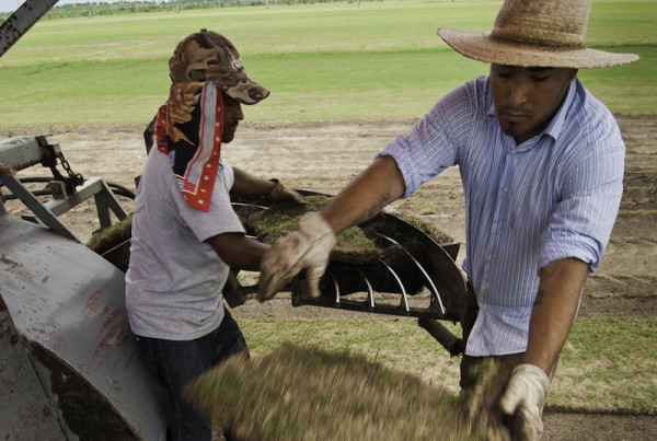Investigation Details ‘Deplorable’ Housing For Texas Migrant Workers