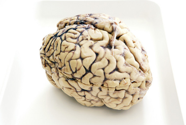 How Much Can We Trust Our Memories?