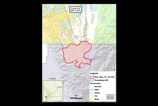 The Coyote Fire Continues in the Guadalupes