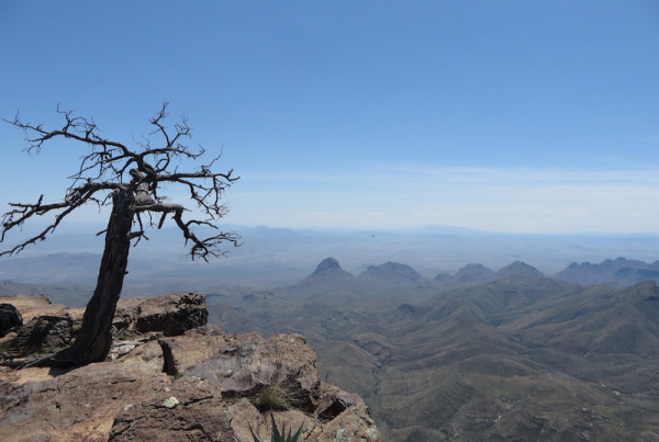 Federal Ruling Okays Trans-Pecos Pipeline in Big Bend