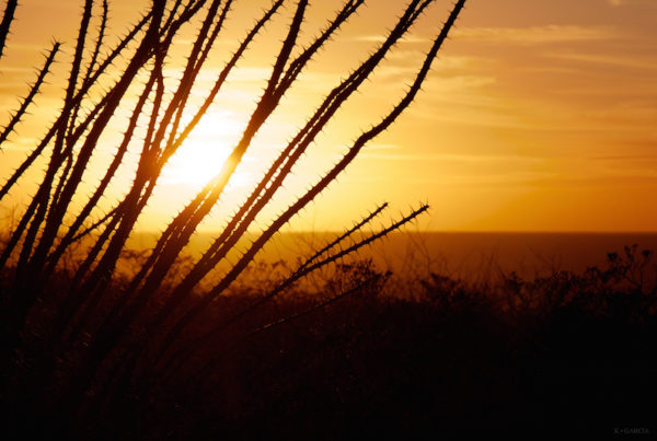 Three (Okay, Four) Novels that Show the Heart of El Paso