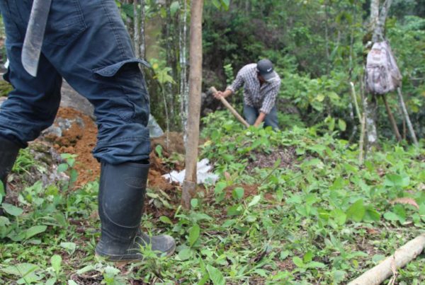 Fraying At The Seams: The Challenge & Opportunity Of Fair Trade Coffee