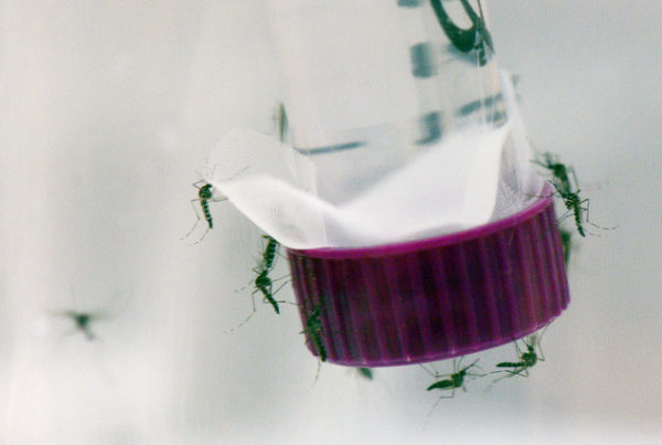 It’s Likely We Missed Some Zika Cases in Texas This Year