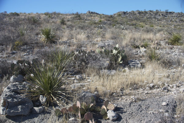 The Past Year Has Been Second-Deadliest for Migrants Crossing the Border