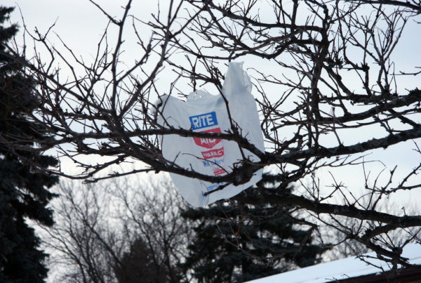 What’s Next for Laredo’s Ban on Plastic Bag Bans?