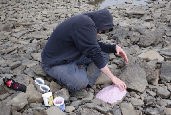 Dallas Paleontologists Find a ‘Candy Store’ of Dinosaur Footprints in Alaska