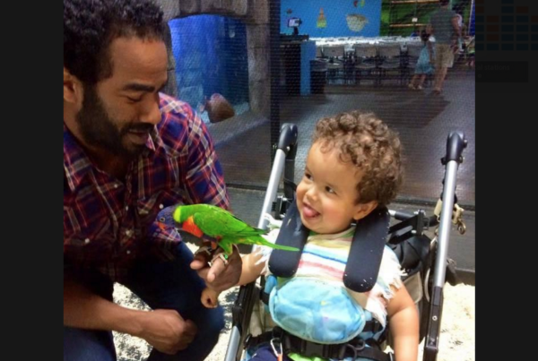 Timeline For Texas’ Cannabis Oil Law Leads To Medical Refugees