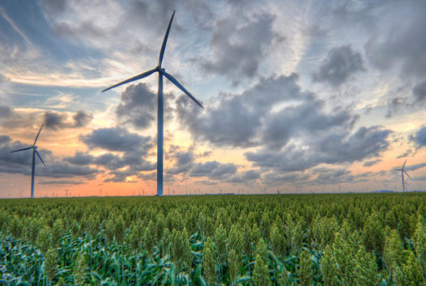 Plans for a Wind Farm in Corpus Christi Could Clash With Navy Base
