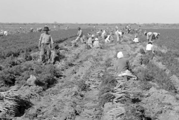 Economic Hardship And Limited Educational Resources Are Among Rural Texas’ Greatest Struggles