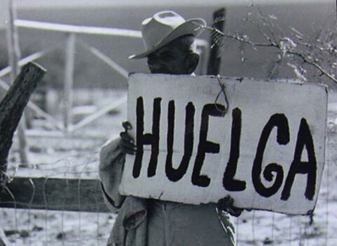 Here’s Why the Voices Caught Between the Black/White Binary Aren’t in American History Books