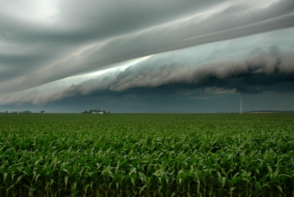 How Did the Rainiest August in 100 Years Affect Texas Crops?