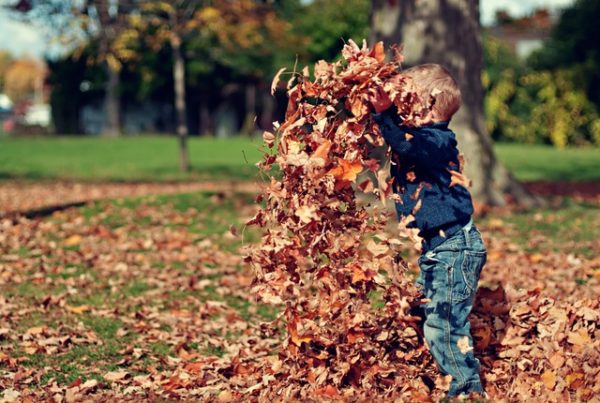 Why I Won’t Fall for Fall Weather in Texas This Year
