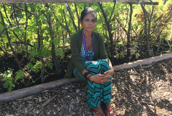 Community Gardens In Vickery Meadow Connect Refugees To The Land And Each Other