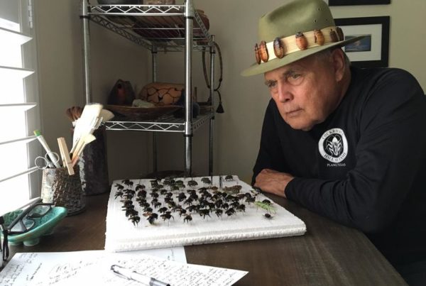 How The Biggest Cockroach In Dallas Made Michael Bohdan Famous