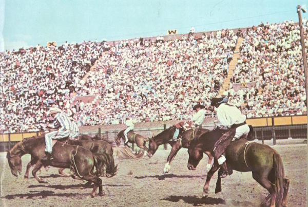 Convict Cowboys: The Little-Known Backstory of the Texas Prison Rodeo
