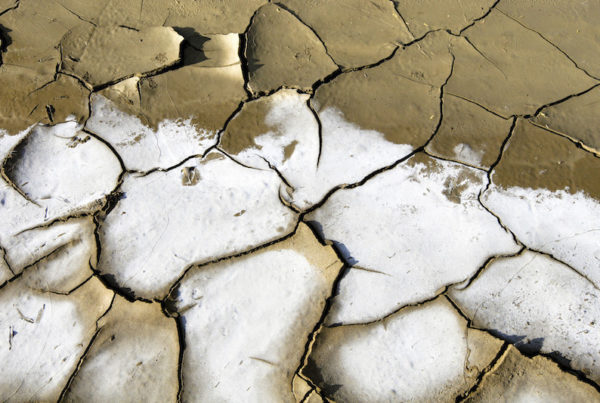 The World Agreed to Slow Global Warming But the Numbers Don’t Add Up
