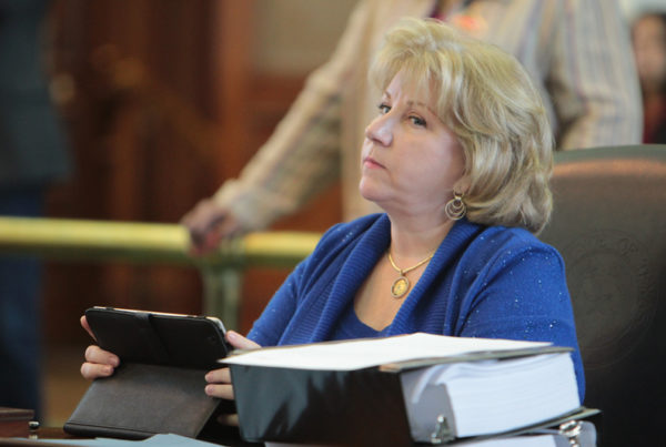 Senate Budget Committee Kicks Off 2019 Budget Hearings