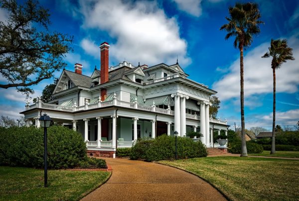 Both Museums and Wildlife Abundant in Beaumont