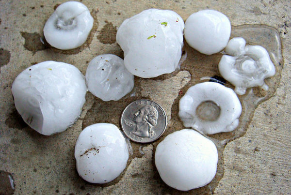 Typewriter Rodeo: Hail In Texas