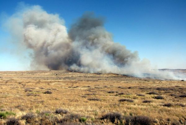 News Roundup: The Texas Panhandle At Greater Risk For Wildfires This Week