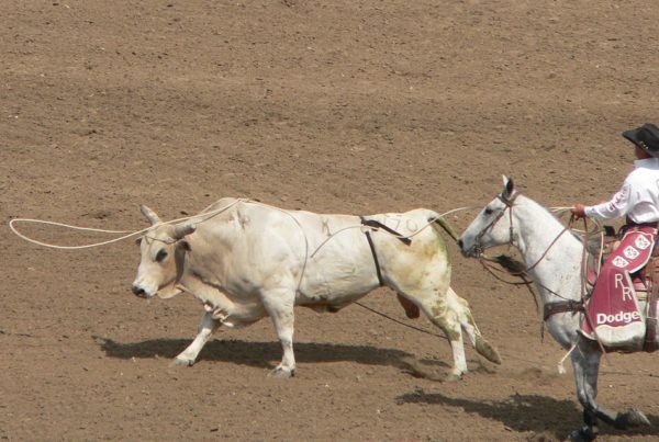Don’t Call Me ‘Rodeo Clown’