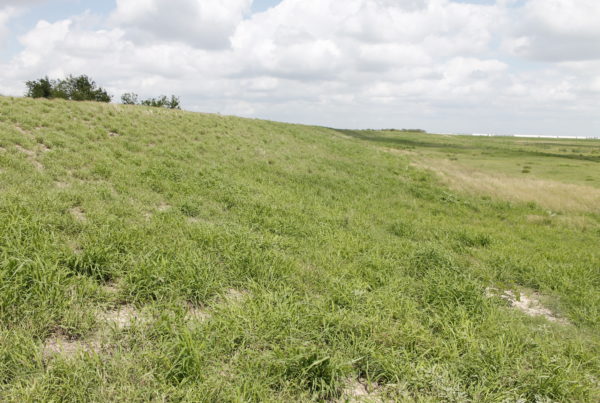 Border Wall Construction Left These South Texas Levees Damaged Ahead Of Hurricane Season