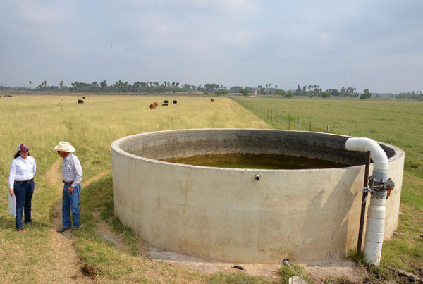 Groundwater Districts Fear Loss of Local Control With Proposed Changes