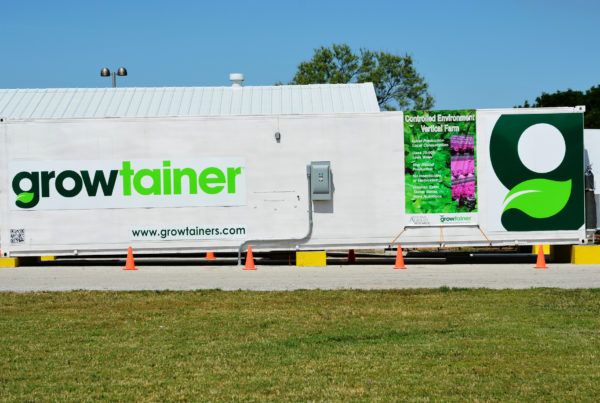How One Central Market Plans To Grow Its Own High-End Produce In Shipping Containers