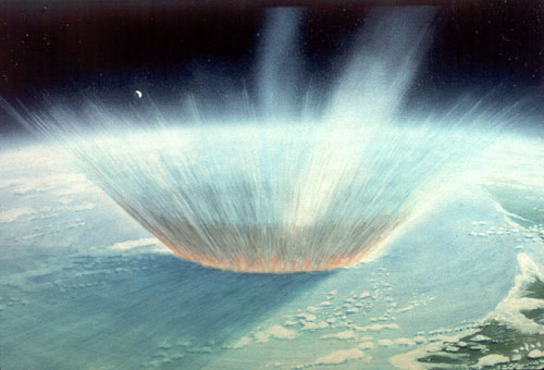 When The Asteroid Hit, Dinosaurs Went Extinct – But Other Life Bounced Back Relatively Quickly