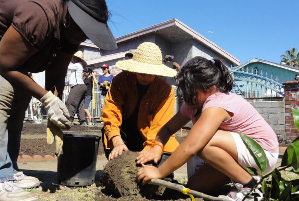 Do Good On Your Next Texas Vacation With ‘Voluntourism’