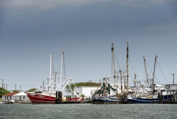 News Roundup: Shrimp Producers Say They Again Face A Worker Shortage