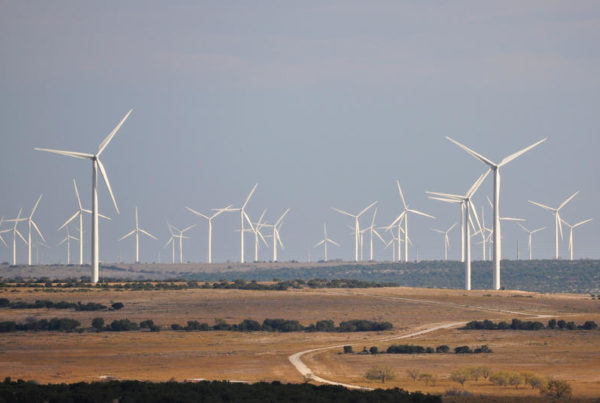Even In Texas, Renewable Energy Comes On Strong