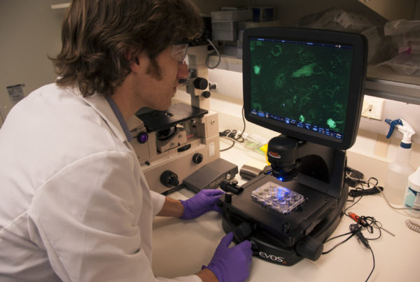 New ‘Right To Try’ Law Gives Texans Access To Unproven Stem Cell Treatments