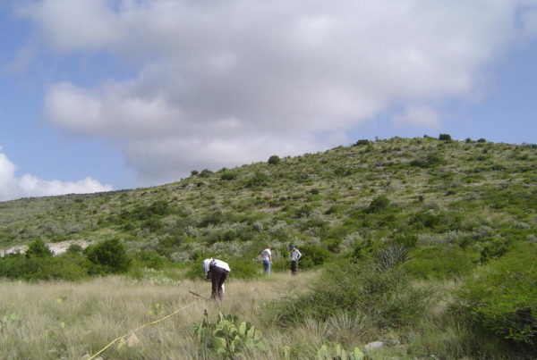 How Digging Holes Across Texas Could Help Us Fight Climate Change