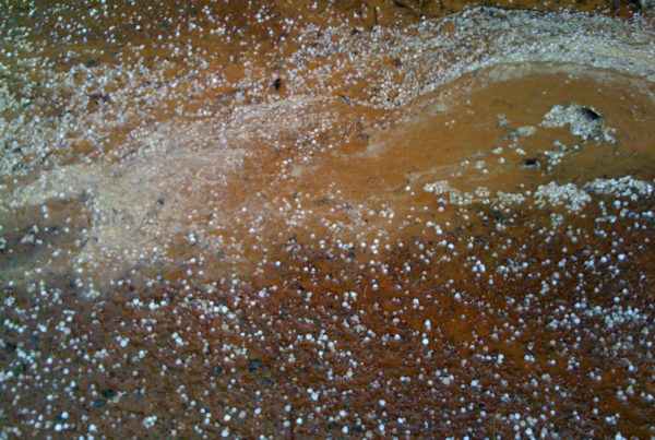 Texas Hailstorms Caused Record Damage In 2016