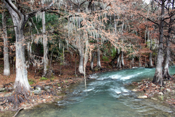 Explorer, Castaway, Slave, Shaman: How Texas’ First ‘Tourist’ Rambled His Way Across The Territory