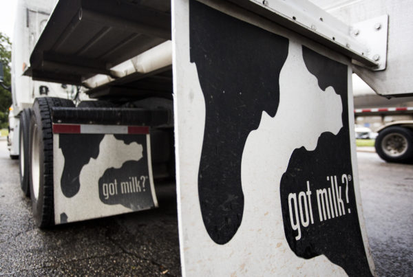 ‘Local Milk People’ Express Concern Over Trump’s Immigration Policies