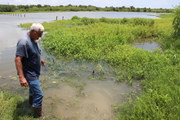 Coastal Residents Sue Plastics Plant on Water Pollution Claim
