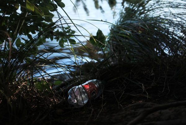 Trump Administration Throws Out Anti-Water Bottle Policy For National Parks