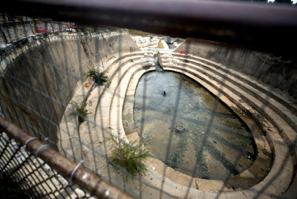 A Remodel Hopes To Replenish Austin’s Endangered Barton Springs Salamander